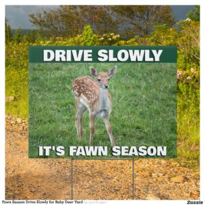 Fawn Season Drive Slowly for Baby Deer Yard Sign