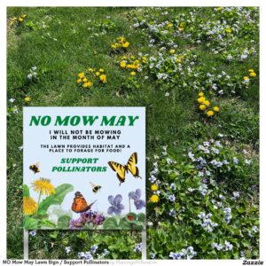 NO Mow May Lawn Sign / Support Pollinators