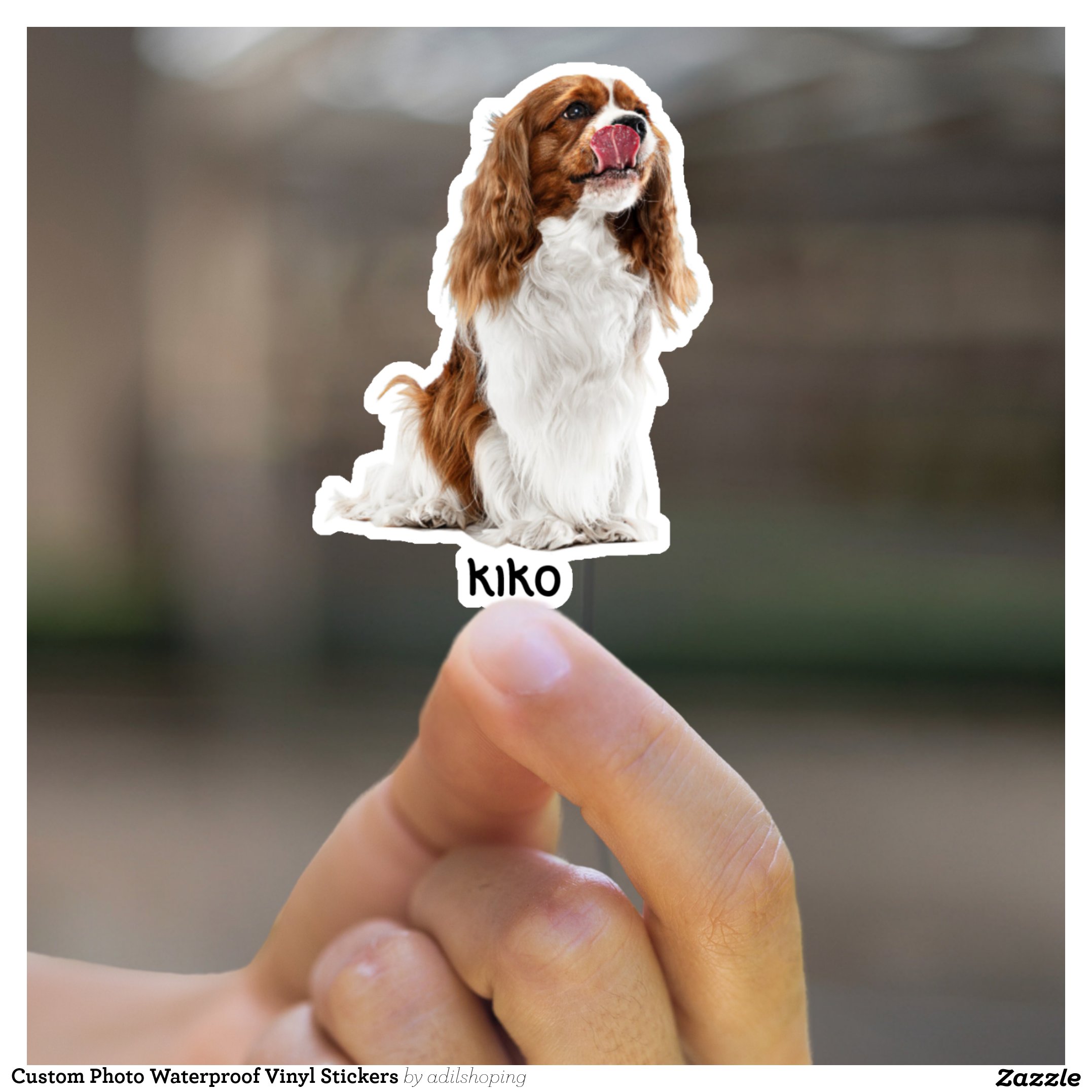 Custom Photo Waterproof Vinyl Stickers