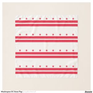 Washington DC State Flag Scarf
