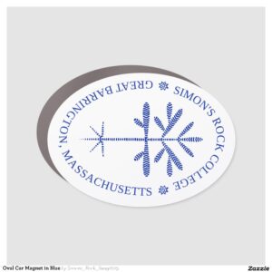 Oval Car Magnet in Blue