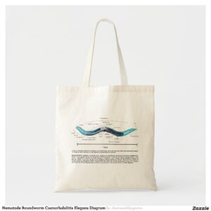 Nematode Roundworm Caenorhabditis Elegans Diagram Tote Bag