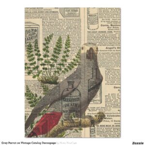 Grey Parrot on Vintage Catalog Decoupage Tissue Paper