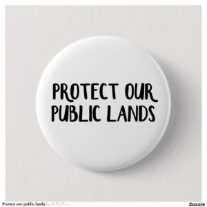 Protect our public lands button