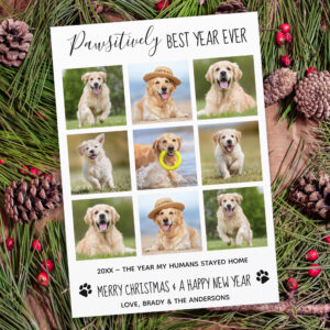 Pawsitively Best Year Ever Dog Pet Photo Collage H Holiday Card
